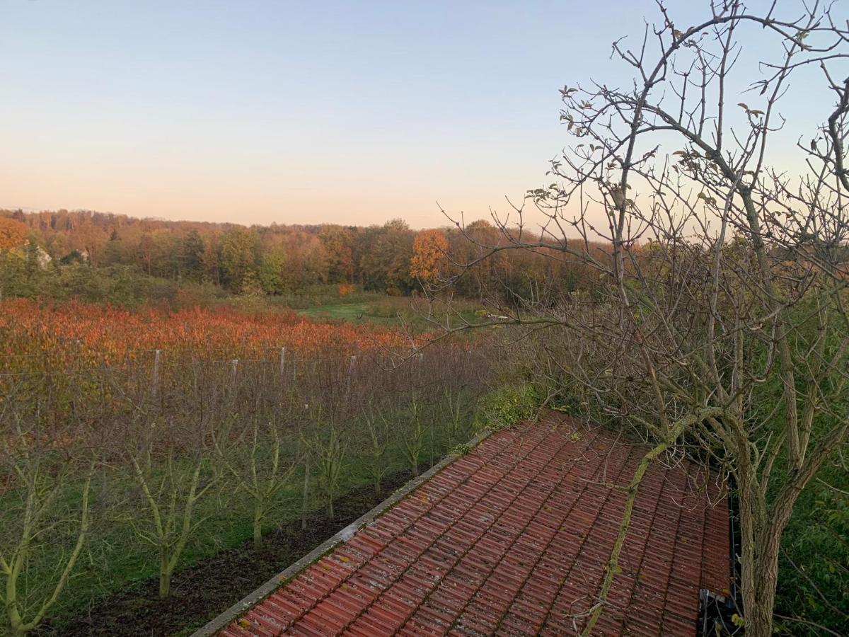 Mon Repos Villa Saint-Brice-sous-Forêt Dış mekan fotoğraf